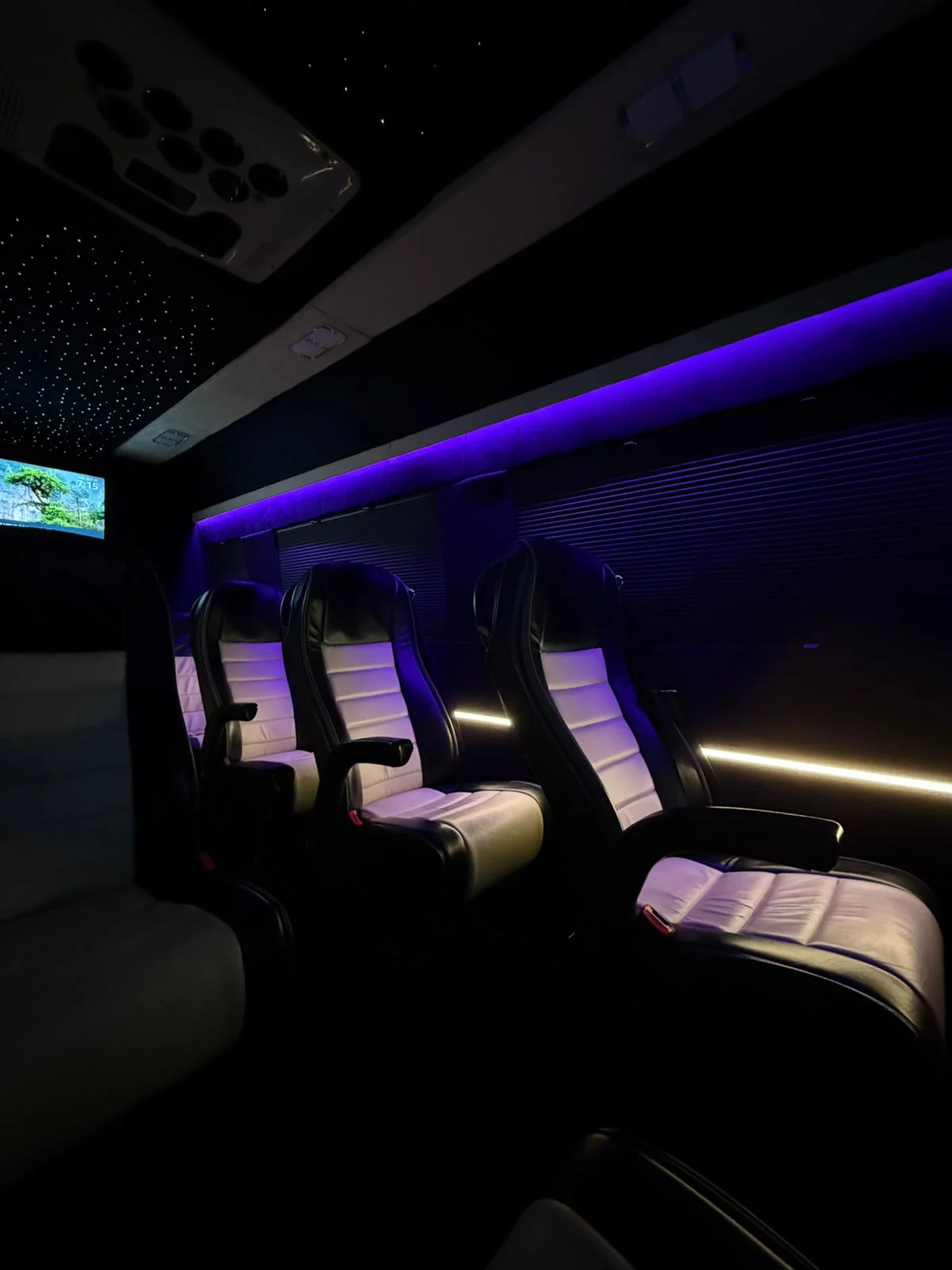 Mercedes Sprinter Luxury Seats